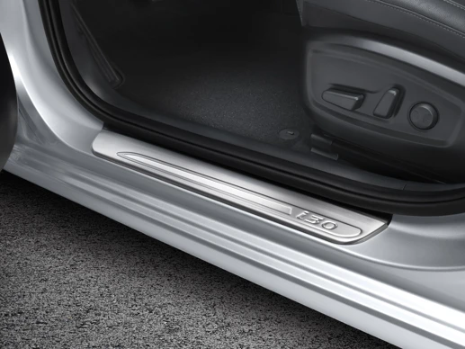 Einstiegsleisten-Satz Aluminium (11)