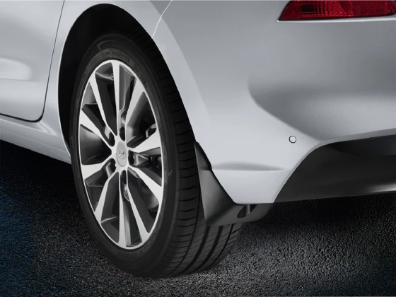 Schmutzfänger-Set, hinten (2)