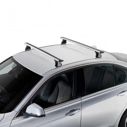 Aerodynamische Aluminium-Dachträger (53)