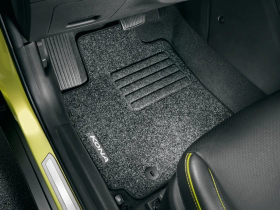 Nadelfilz-Matten-Satz (31)