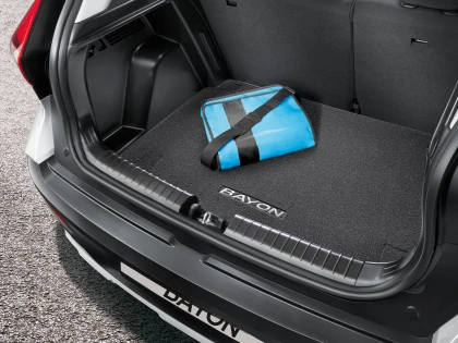 Kofferraummatte (95)