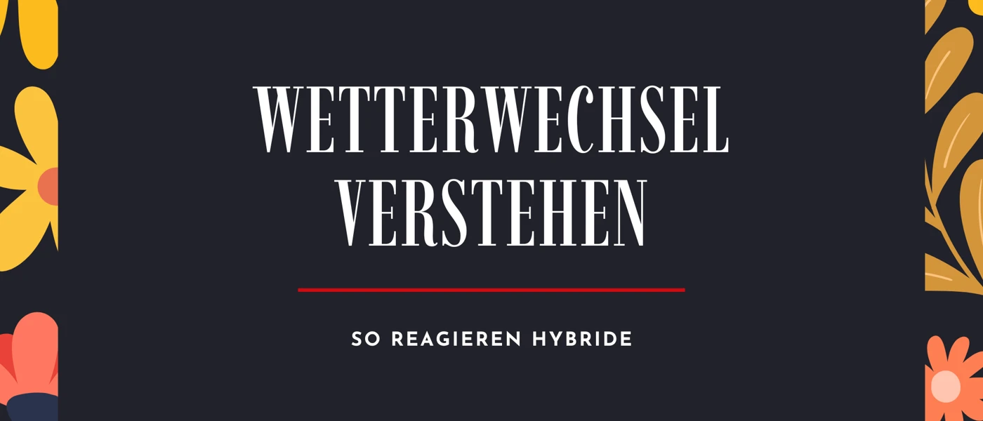 Hybridmodelle Frühling Blog Banner