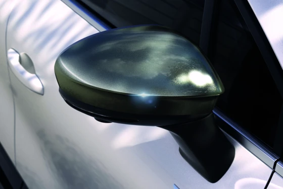 Spiegelkappen, Metallgrau