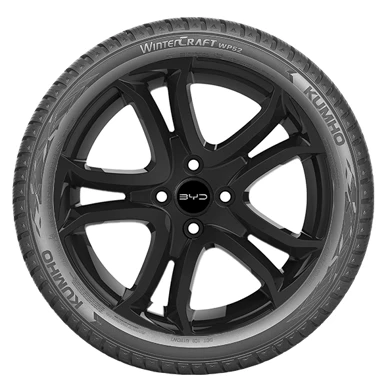 WR Alu 16,Kumho WiCr WP52+ 225/60 R16 102V,RE (2)