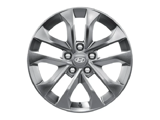 Leichtmetallfelge 17 Zoll (6)