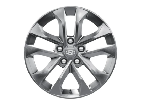 Leichtmetallfelge 17 Zoll (6)