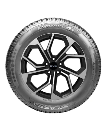 WR Alu 17, LA Comp Winter 2+ 215/60 R17 100V XL,RE