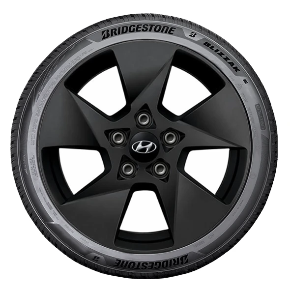 WR Alu 16, BR BLI 6 ENLITEN 205/65 R16 99H XL, RE
