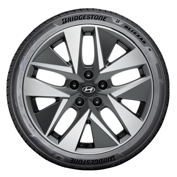 WR Alu 18,BR BLI6 ENLITEN 225/55 R18 102V, LI (1)