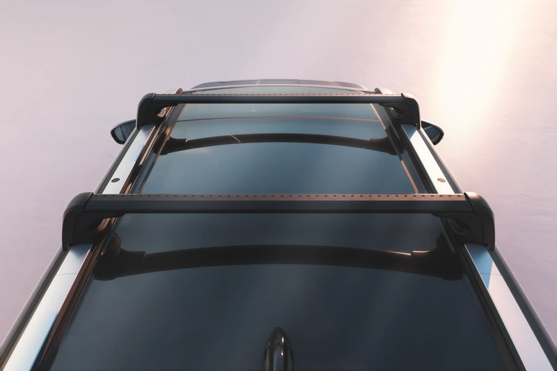 Dachträger, Schwarz