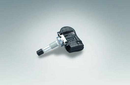 TPMS-Sensor (2)