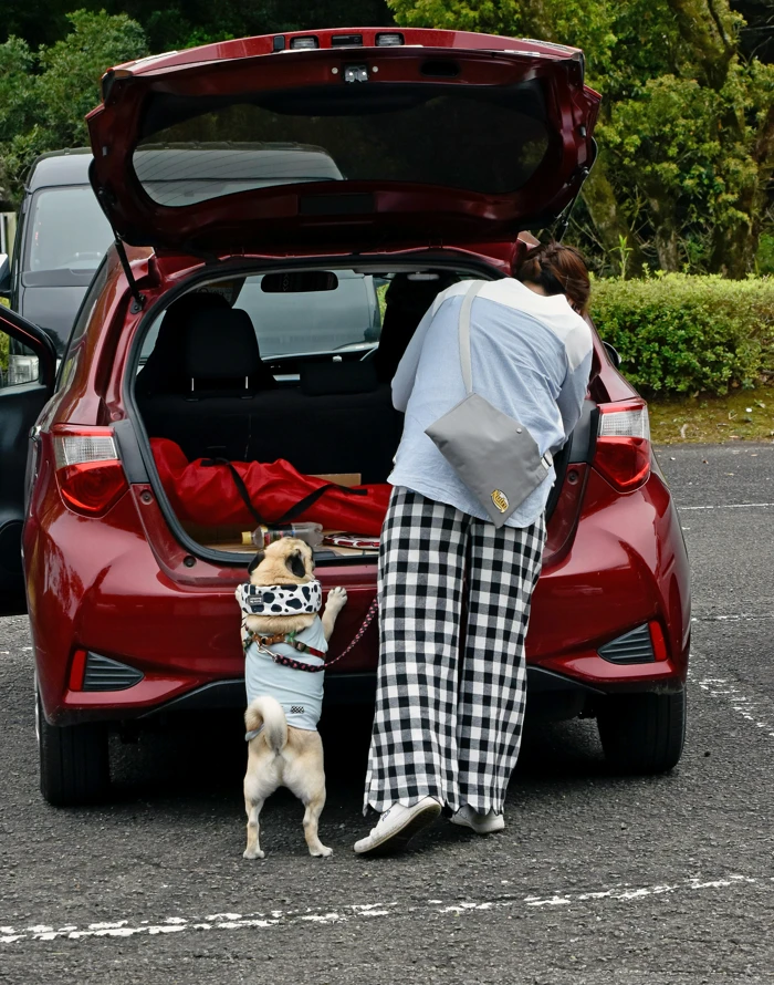 Auto Vorbereiten