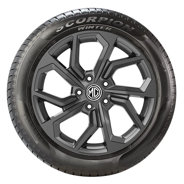 WR Alu 20, PI Scorpion Winter 245/50 R20 105H XL, LI