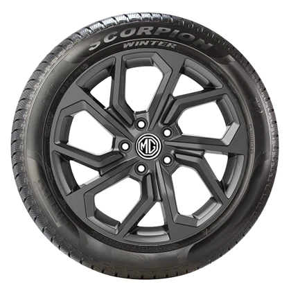 WR Alu 20, PI Scorpion Winter 245/50 R20 105H XL, LI