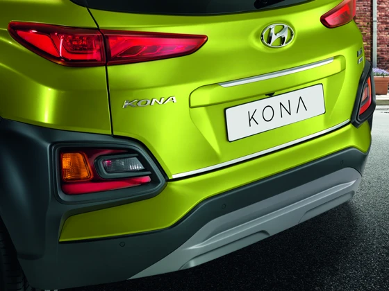 Heckklappenleiste Chrom (29)