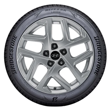 WR Alu 17, BR Blizzak LM005 215/60 R17 96H, LI (28)