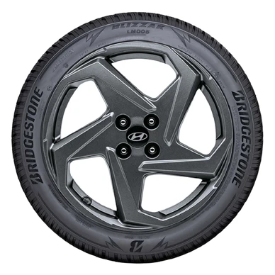 WR Alu 17, BR Blizzak LM005 205/55 R17 95V XL, LI (1)