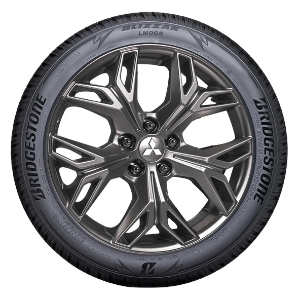 WR Alu 18, BR BLI LM005 2 225/55 R18 102V XL, RE