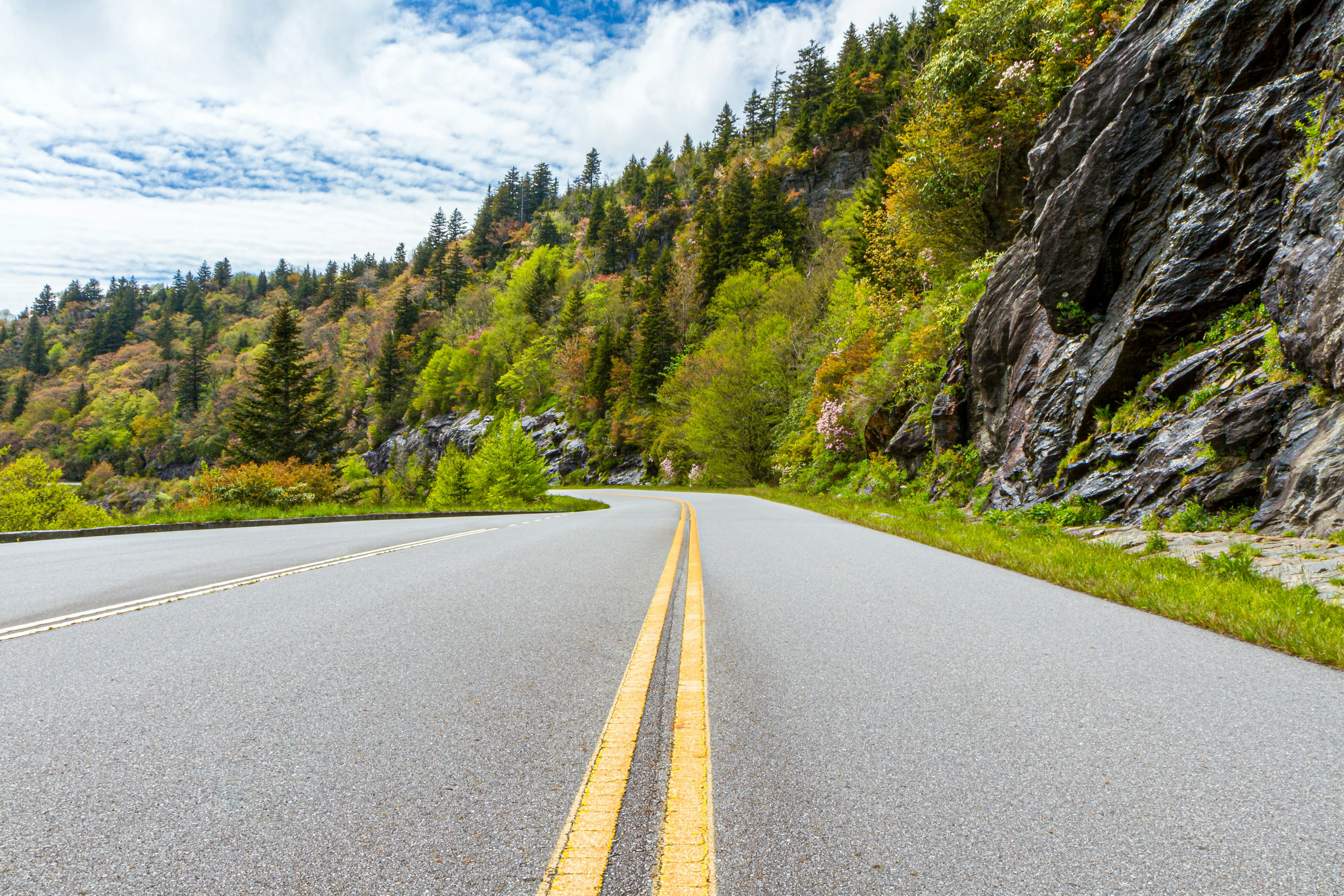 Den Harrson Qswhs08nds4 Unsplash