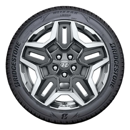 WR Alu 19, BR Blizzak LM005 235/55 R19 105V XL, LI (6)