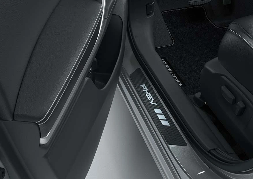 Einstiegsleisten-Satz (8)