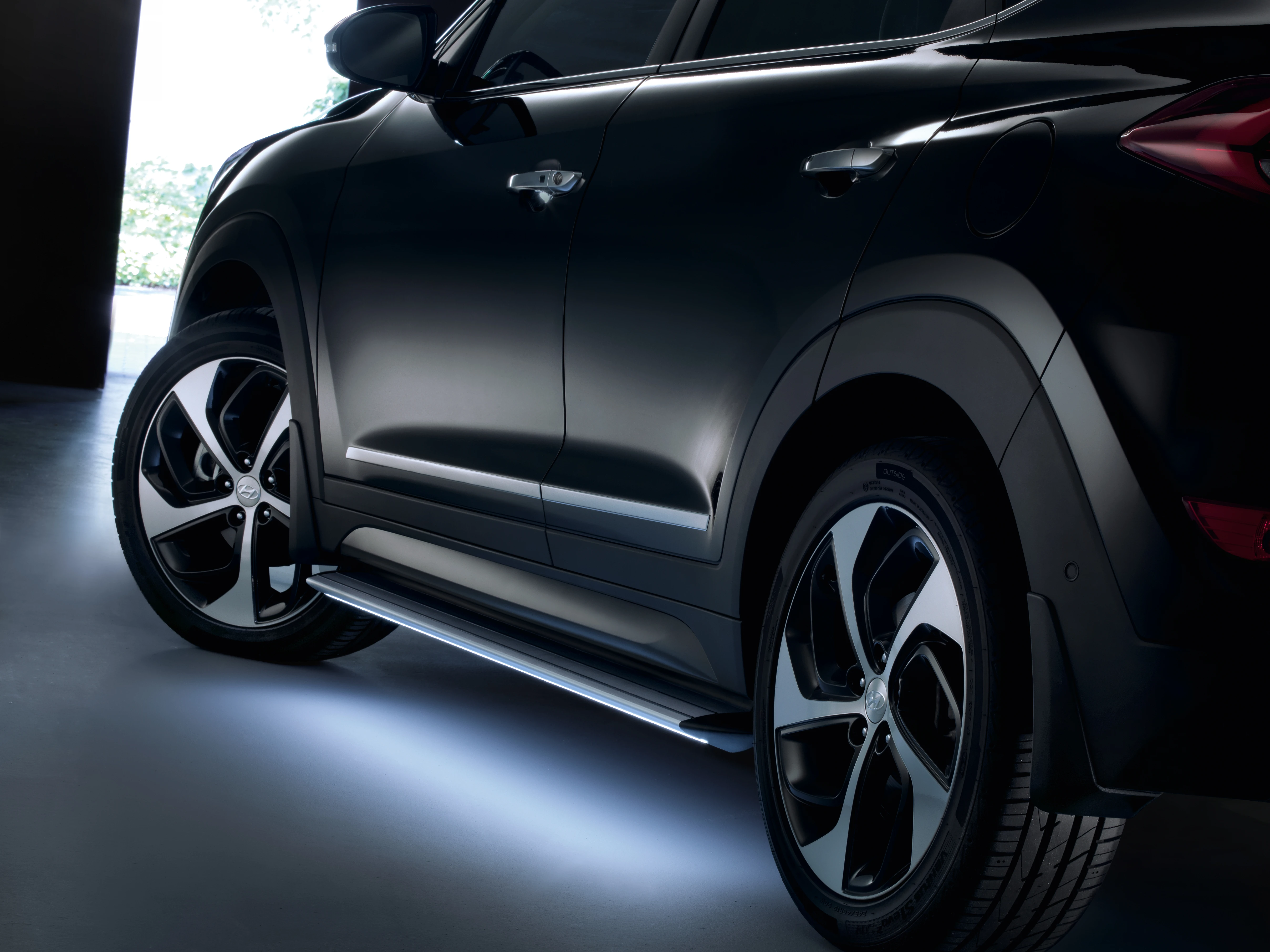 Seitenschutzleisten (66)