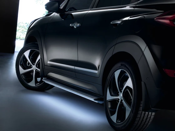 Seitenschutzleisten (66)