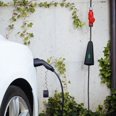 APNE20150419_b2 (11)