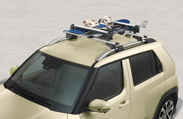 Ski- und Snowboardträger 600