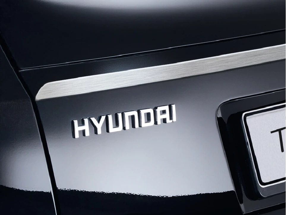 Heckklappenzierleiste (37)