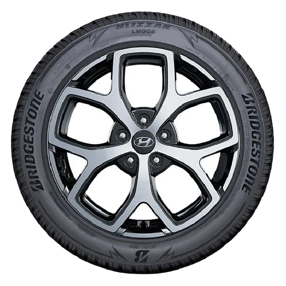 WR Alu 18, BR Blizzak LM005 225/40 R18 92V XL, LI (9)