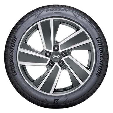 WR Alu 19, BR Blizzak LM005 235/55 R19 105V XL, RE (12)