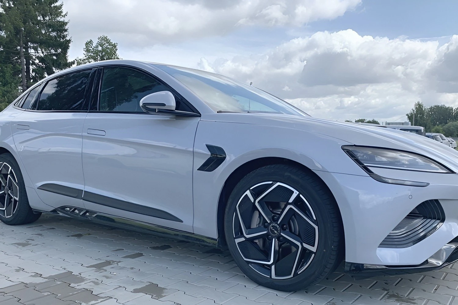 Seitenschutzleisten, Mattschwarz (5)