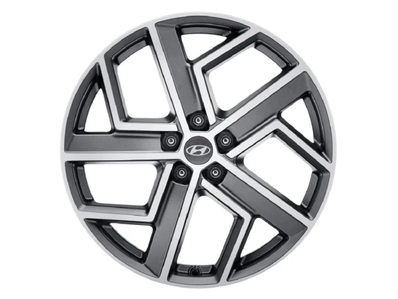 Leichtmetallfelge 20 Zoll (2)