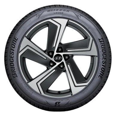 WR Alu 19, BR Blizzak LM005 235/45 R19 99V XL, RE (19)