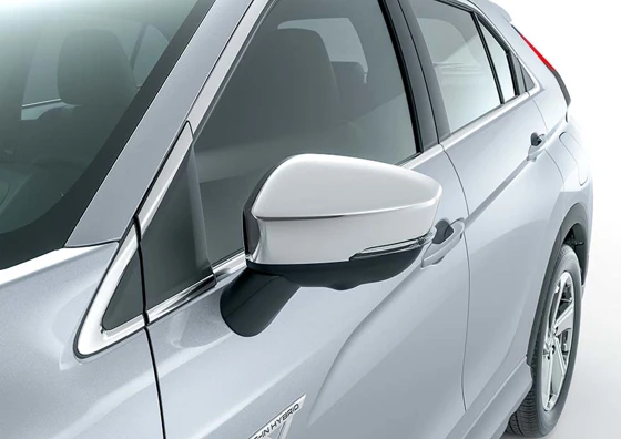 Seitenspiegelabdeckung (45)