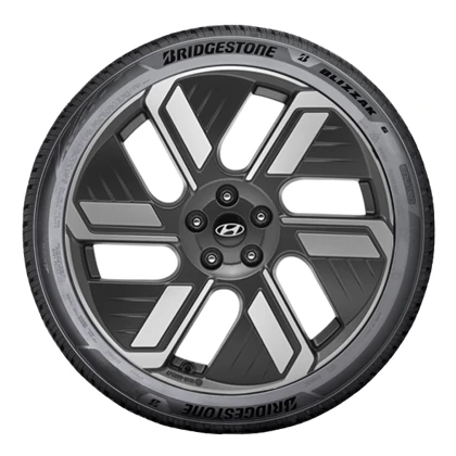 WR Alu BR Blizzak 6 ENLITEN 255/45R20 105W XL, RE (1)