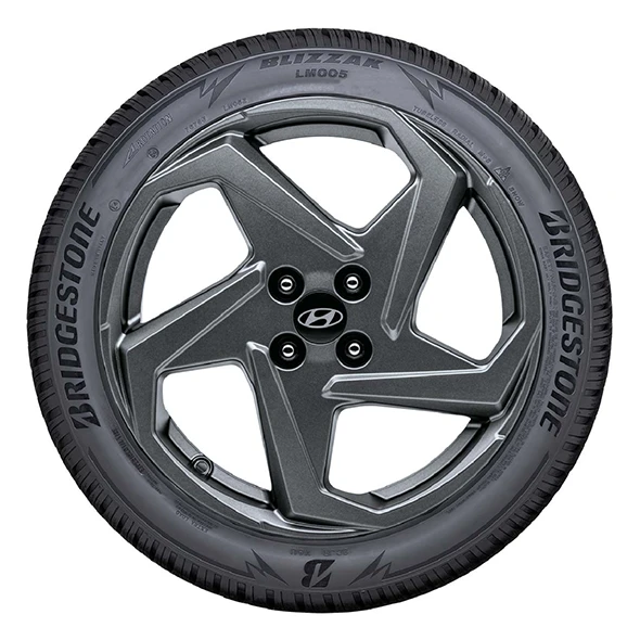 WR Alu 17, BR Blizzak LM005 205/55 R17 95V XL, RE (1)