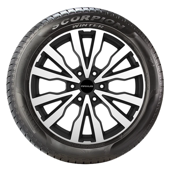 WR Alu PI Scorpion Winter 275/55 R20 117V XL, RE (1)