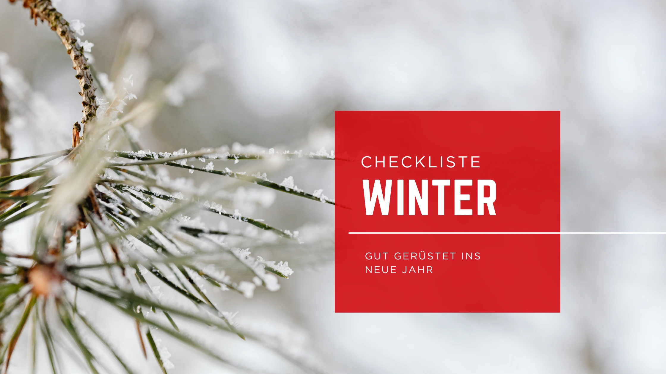 Winter Checkliste Blog Banner II