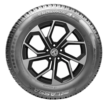 WR Alu 17, LA Snoways 4 215/55 R17 98V XL, RE