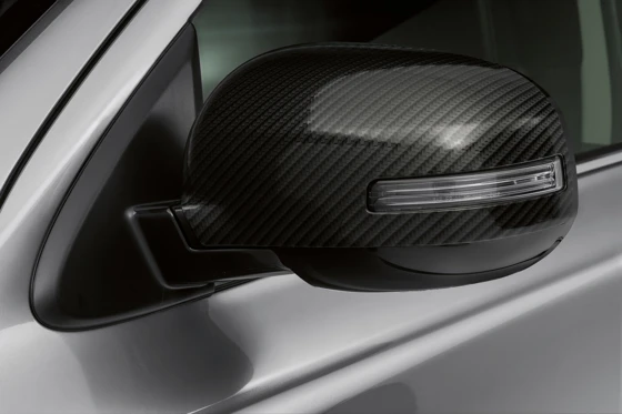 Seitenspiegelabdeckungen Carbon (39)