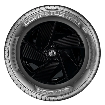 WR Alu 17, LA Competus W 2+ 215/60 R17 100V XL, LI