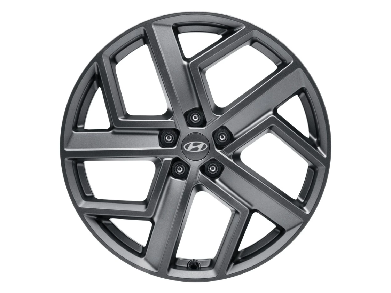 Leichtmetallfelge 20 Zoll (3)