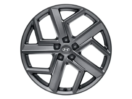 Leichtmetallfelge 20 Zoll (3)