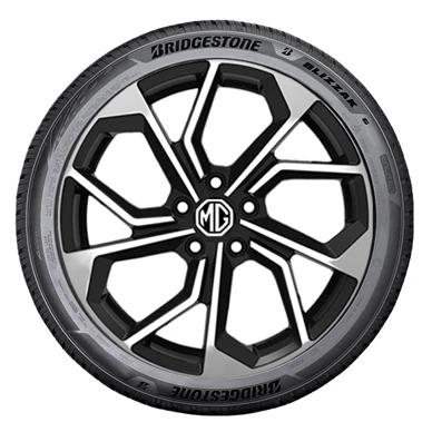 WR Alu 16, BR BLI. 6 ENLITEN 195/60 R16 93H X (1)