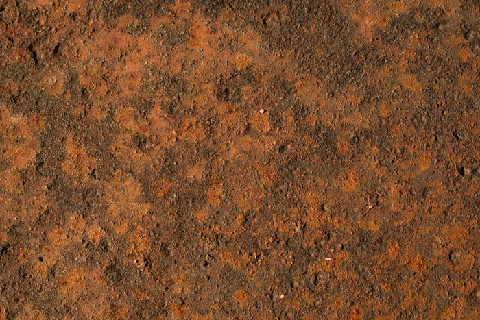 Rost