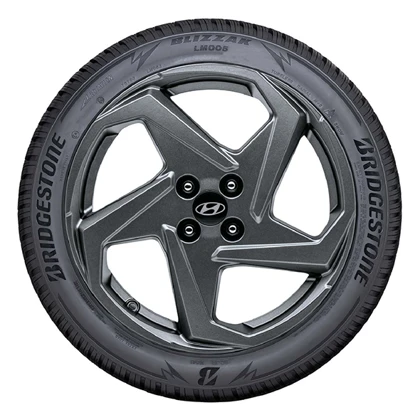 WR Alu 17, BR Blizzak LM005 205/55 R17 95V XL, LI