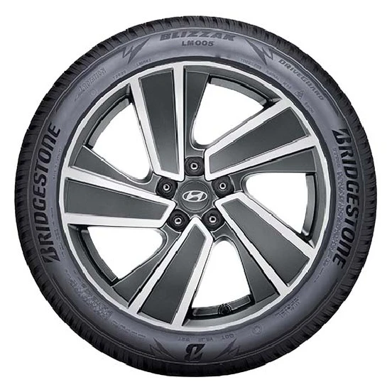 WR Alu 19, BR Blizzak LM005 235/55 R19 105V XL, RE (12)