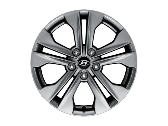 Leichtmetallfelge 17 Zoll Dark Silver (1)